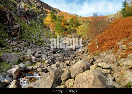 Rauschende Gewässer von Stickle Ghyll, gelegen im Lake District, Cumbria, Großbritannien. Beliebte Touristenattraktionen im Great Langdale Valley, berühmt für seine Gletscherzeit Stockfoto