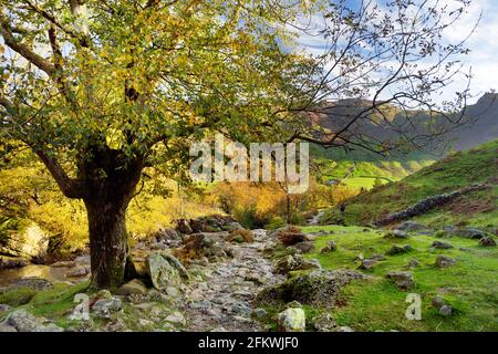 Rauschende Gewässer von Stickle Ghyll, gelegen im Lake District, Cumbria, Großbritannien. Beliebte Touristenattraktionen im Great Langdale Valley, berühmt für seine Gletscherzeit Stockfoto