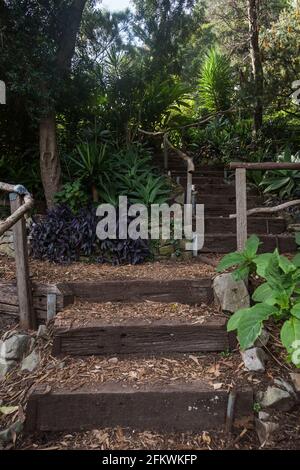 Wendy Whiteley's Secret Garden am unteren Nordufer des Sydney Harbour. Es ist für die Öffentlichkeit zugänglich für Spaziergänge, Picknicks und allgemeine Hafenaussichten. Wend Stockfoto