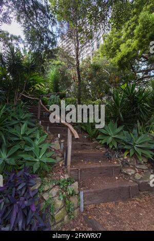 Wendy Whiteley's Secret Garden am unteren Nordufer des Sydney Harbour. Es ist für die Öffentlichkeit zugänglich für Spaziergänge, Picknicks und allgemeine Hafenaussichten. Wend Stockfoto