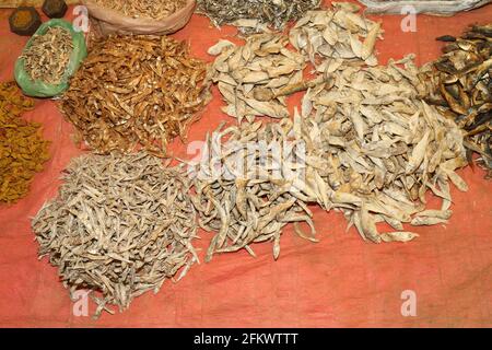 Wöchentlicher Stammesmarkt von Vishwanathpur Dorf. Trockener Fisch zum Verkauf. Odisha, Indien Stockfoto