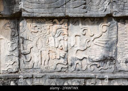 Reliefschnitzerei einer Maya, die einen enthaupteten Kopf an einer Plattform von Adlern und Jaguaren hält, Chichen-Itza, Yucatan, Mexiko Stockfoto