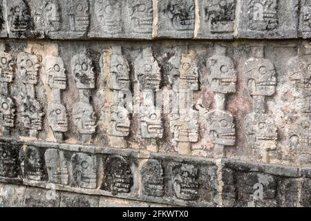 Schädelreliefs bei Tzompantli, der Schädelplattform, Chichen-Itza, Yucatan, Mexiko Stockfoto