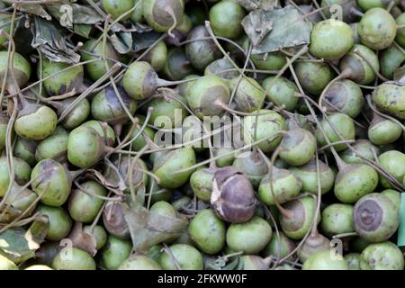 Wöchentlicher Stammesmarkt von Vishwanathpur Dorf. Kumud Früchte zum Verkauf, diese Waldfrüchte sind gut für die Gesundheit. Odisha, Indien Stockfoto