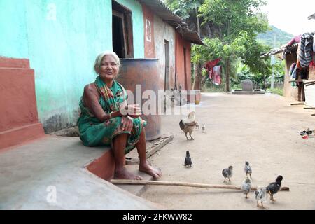 Alte Stammesfrau, die vor ihrem Haus mit Henne und Küken um sie herum im Dorf Lanjigadh in Odisha, Indien, sitzt. DESIA KONDHA STAMM Stockfoto