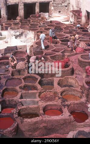Chouara-Gerberei in Medina, Fes el Bali, Fez, Region Fès-Meknès, Königreich Marokko Stockfoto