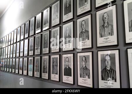 Häftlingsfotos, KZ-Gedenkstätte Auschwitz I, Polen Stockfoto
