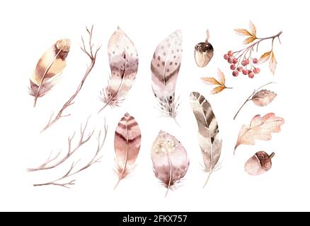 Set aus handbemalten schönen roten und gelben Herbstblättern, Federn, Eberesche, Eichel, Eichenblatt Illustration. Stockfoto