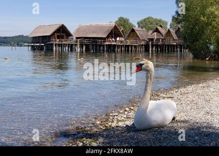 Pfahlbauten, Unteruhldingen Am Bodensee, Deutschland Stockfoto