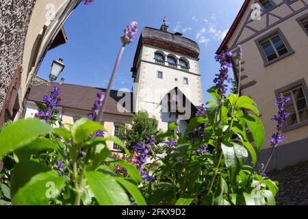 Martinsturm, Wahrzeichen Von Bregenz, Vorarlberg, Österreich Stockfoto