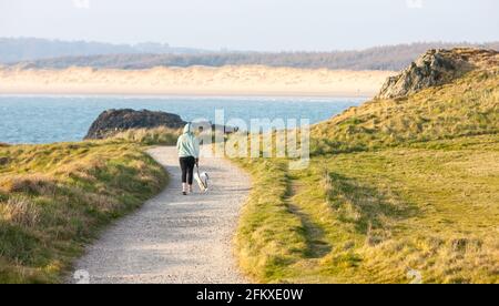 Ynys Llanddwyn,Llanddwyn, Llanddwyn Island,Anglessey,Anglesey,Ynys Mon,Insel Anglesey,Insel,Küste,Küste,Küstenweg,Isle of Anglesey Küstenweg,Nord,Wales,Walisisch,GB,Großbritannien,Großbritannien,Großbritannien,Vereinigtes Königreich,Europa.Ynys Llanddwyn ist eine kleine Gezeiteninsel vor der Westküste von Anglesey Wales (Nordwesten von Wales). Môn Die nächste Siedlung ist das Dorf Newborough.die Insel ist geologisch interessant mit Kissenlava, Jaspisformationen und äolischen Sandvorkommen. Die Insel ist Teil des National Nature Reserve of Newborough Warren.der Leuchtturm Tŵr Mawr markiert den Westen Stockfoto