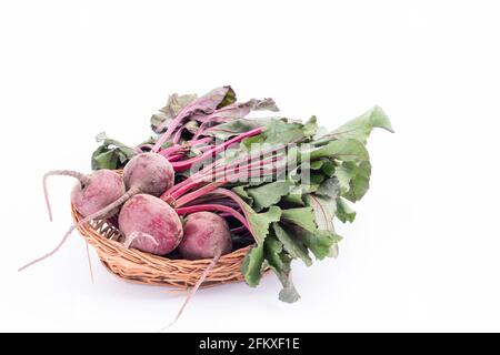 Rote Bete Desi Chukandar Mit Grünen Blättern Wird Als Salat Oder Saft Verzehrt. Reiche Quelle von Eisen und Ballaststoffe stärkt die Leber und hilft bei der Wiederherstellung aus Eisen D Stockfoto