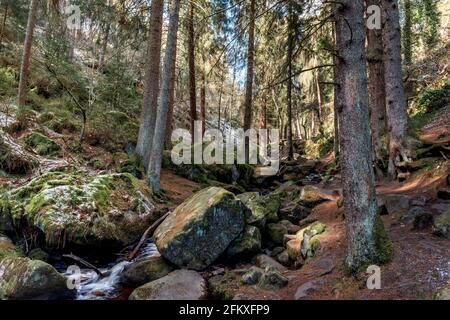 Naturschutzgebiet Wyming Brook, Nationalpark Peak District, Sheffield, South Yorkshire, England, Großbritannien Stockfoto