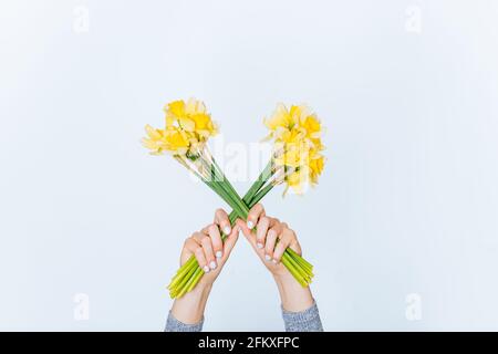 Weibliche Hände mit weißer Maniküre halten zwei Bündeln Narzissen Blumen in Form des Buchstabens X auf A Heller Hintergrund Stockfoto