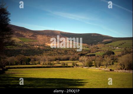 Mount Leinster, County Carlow, Irland, Europa Stockfoto