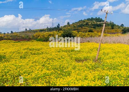 Ländliche Landschaft in der Nähe von Hsipaw, Myanmar Stockfoto