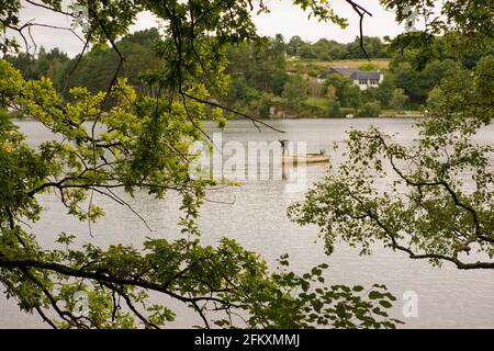 Lac de Guerlédan in der Nähe der Anse de Sordan, Morbihan, Bretagne, Frankreich: Ein einsamer Fischer in seinem Boot Stockfoto