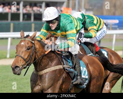 CHELTENHAM 2008 1. TAG. 11/3/2008. TONY MCCOY AM FERNGLAS WÄHREND DER NOVIZENHÜRDE. BILD DAVID ASHDOWN Stockfoto