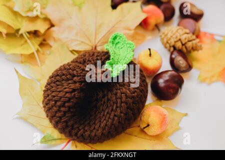 Gestrickte handgemachte braune Mütze in Eichelform mit Blatt für Neugeborenes Stockfoto