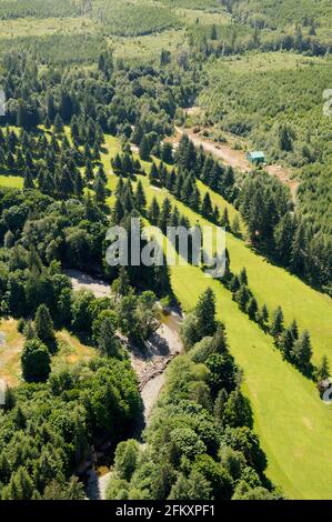 Cowichan Golf and Country Club, Honeymoon Bay, Cowichan Lake, Vancouver Island Luftaufnahmen, British Columbia, Kanada. Stockfoto