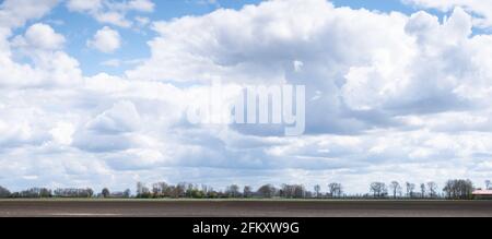 Typisch holländische flache Landschaft mit einem gepflügten Feld, einer Reihe von Bäumen am Horizont und einem blauen Himmel mit schönen Wolken im Frühling. Breitbild Stockfoto