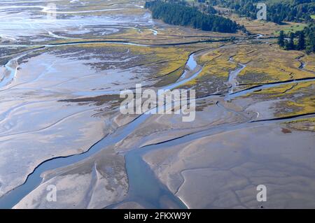 Luftaufnahme der Flussmündung des Chemainus, Chemainus Valley, Vancouver Island, British Columbia, Kanada. Stockfoto