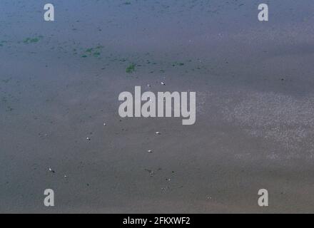 Luftaufnahme der Flussmündung des Chemainus, Chemainus Valley, Vancouver Island, British Columbia, Kanada. Stockfoto