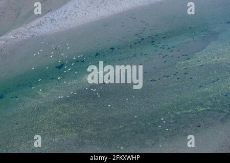 Luftaufnahme der Flussmündung des Chemainus, Chemainus Valley, Vancouver Island, British Columbia, Kanada. Stockfoto