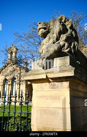 Es wurde von einem der vier Saltaire-Löwen auf dem Victoria Square gemunkelt Für den Trafalgar Square in London bestimmt, aber als gedacht Zu klein und von Titus Salt gekauft Stockfoto