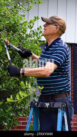 Ein älterer Mann steht auf einer Leiter und rast um sein Haus herum. Er trägt Handschuhe und eine braune Mütze. Stockfoto