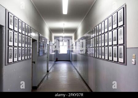 Häftlingsfotos, KZ-Gedenkstätte Auschwitz I, Polen Stockfoto