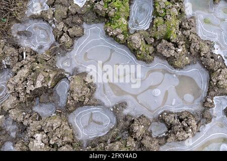 Gefrorene kleine Teiche Hintergrund auf schlammigem Naturgelände Stockfoto