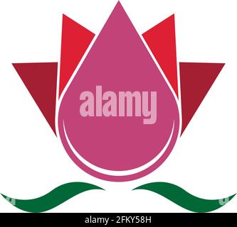 Schönheit Lotus Blumen Logo Symbol Design Vorlage Vektor Stock Vektor