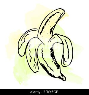 Imitation von Aquarellfarbe. Helle und saftige Bananendarstellung auf weißem Hintergrund. Stock Vektor