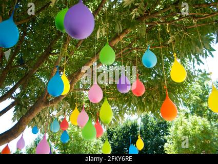 Bunte Luftballons mit Wasser gefüllt sind, hängen an einem Baum, mit grünen Farbe der Blätter im Hintergrund Stockfoto