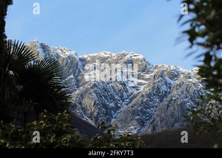 Schweizer Alpen über dem Lago Maggiore in Brissago Stockfoto