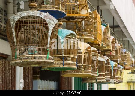 Pfeifender Vogelkäfig während eines Wettbewerbs in Kota Bharu in Malaysia Stockfoto