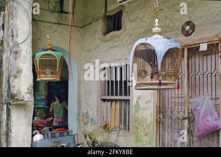 Vogel im bambou Käfig in der Konkubinenstraße in der Altstadt von Ipoh, Perak, Malaysia Stockfoto