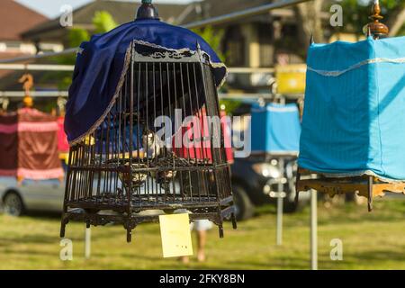 Pfeifender Vogelkäfig während eines Wettbewerbs in Kota Bharu in Malaysia Stockfoto