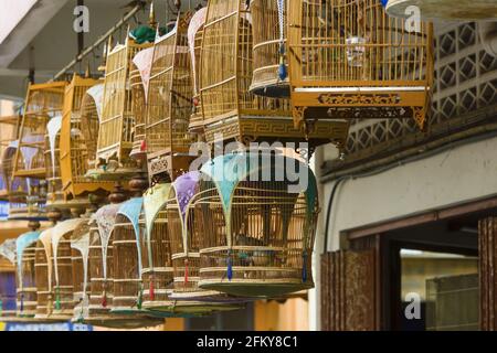 Pfeifender Vogelkäfig während eines Wettbewerbs in Kota Bharu in Malaysia Stockfoto