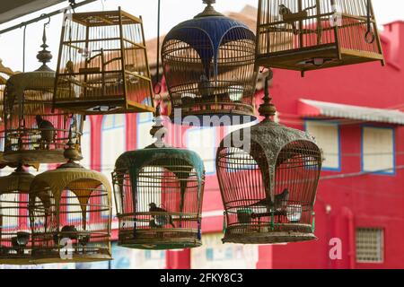 Pfeifender Vogelkäfig während eines Wettbewerbs in Kota Bharu in Malaysia Stockfoto