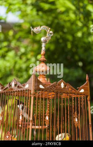 Pfeifender Vogelkäfig während eines Wettbewerbs in Kota Bharu in Malaysia Stockfoto