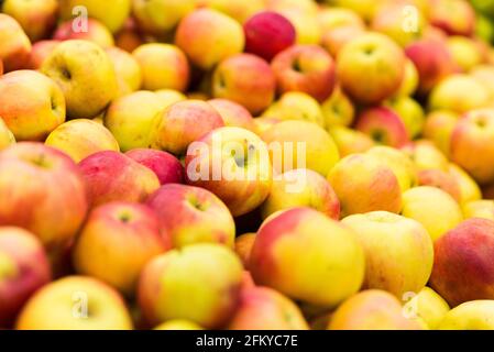 Haufen grüner und roter Äpfel auf Kisten im Supermarkt Und Markt Stockfoto