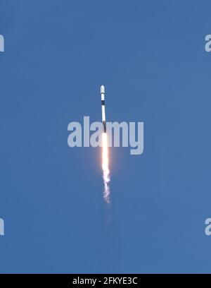 Merrit Island, Usa. Mai 2021. Eine SpaceX Falcon 9-Rakete fliegt nach dem Abheben von Pad 39A im Kennedy Space Center in die Umlaufbahn, die den 26. Stapel von 60 Satelliten als Teil des Starlink-Breitband-Internet-Netzwerks von SpaceX trägt. Kredit: SOPA Images Limited/Alamy Live Nachrichten Stockfoto