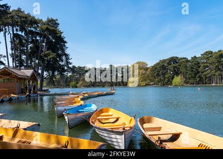 Pariser Bootfahren auf dem unteren See im Bois de Boulogne - Paris, Frankreich Stockfoto