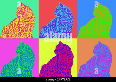 Pop Art Stil Illustration bunt. Katzenprofil. Stockfoto