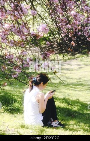 Der Frühling im Central Park ist wunderschön, New York City, USA Stockfoto