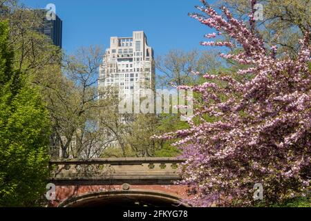 Century Apartments, 25 Central Park West, vom Driprock Arch im Central Park aus gesehen, New York, NY Stockfoto