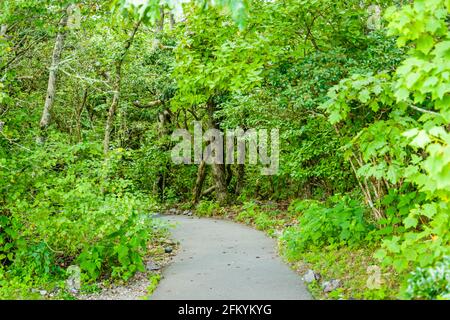 Georgia on My Mind - Brasstown bald Stockfoto