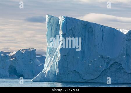 Massive Eisberge kalbten vom Jakobshavn Isbræ-Gletscher, UNESCO-Weltkulturerbe, Ilulissat, Grönland. Stockfoto